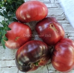 . Улицы разбитых фонарей (Streets of broken lanterns)