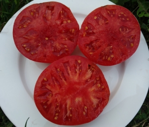 Летнее вино (Summertime Wine), гиганты красные,