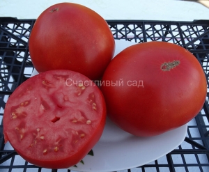 Красный горизонт заката (Sunset's Red Horizon), Гиганты сердцевидные,