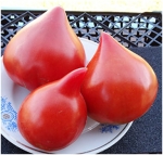 . Отец Рейн (Vater Rhein)