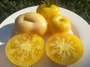 Белая Красавица (White Beauty), Белые томаты,