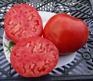 Zdravene de bacan, Гиганты красные